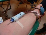 Transfusion-p1040043