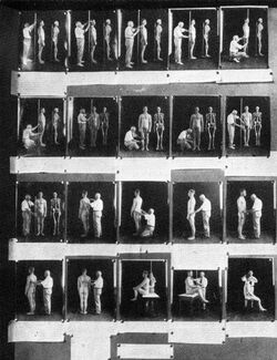 Anthropometry exhibit