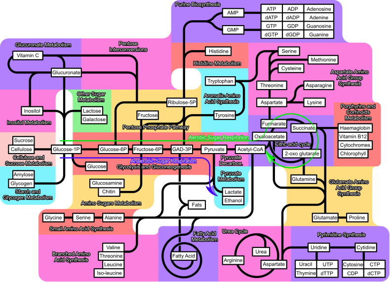 Oxo (food) - Wikipedia