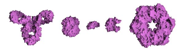 Protein Composite