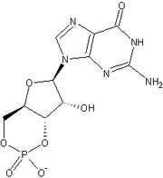 CGMP