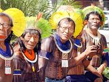 Indigenous populations