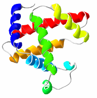 Myoglobin