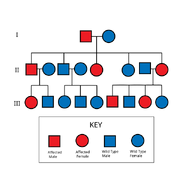 Autosomal Dominant Pedigree Chart