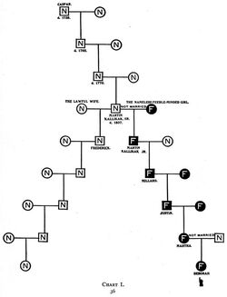 Kallikaks chart1