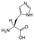 Chemical structure of Histidine
