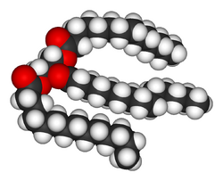 Trimyristin-3D-vdW