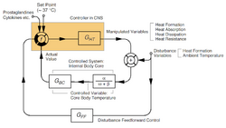 Thermoregulation simplified