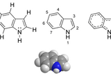 Indole