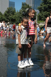 Millenium Park Fountain 3