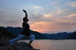 File:Yoga addict.jpg - Wikimedia Commons