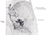 Acoustic nerve