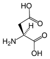 Chemical structure of Aspartic acid