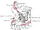 Posterior superior alveolar nerve