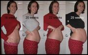 Baby bump progression-1-