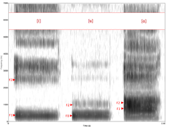 Spectrogram -iua-