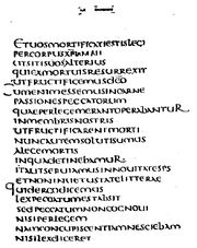 Codex claromontanus latin