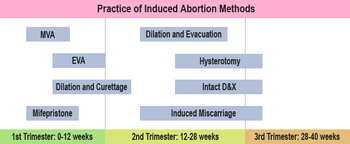 Abortionmethods