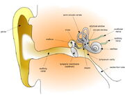 HumanEar