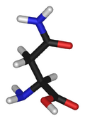 3D structure of Asparagine