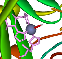 Carbonic anhydrase 1CA2 active site