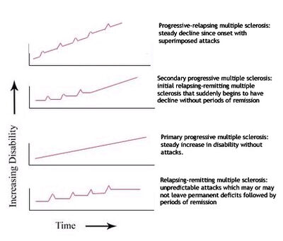 Types of MS-2