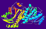 AlcoholDehydrogenase-1A4U