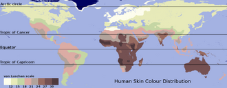 Map of skin hue equi