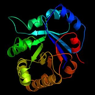 Triosephosphate isomerase