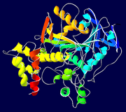 Acetylcholinesterase-1EA5