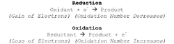 Redox Halves