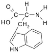Chemical structure of Tryptophan
