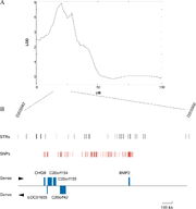 Example of QTL-Scan on a single Chromosom from PLoS Biology