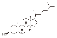 Cholesterol