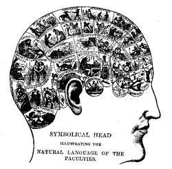 Phrenologychart