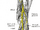 Deep fibular nerve