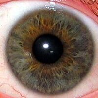 Iris.eye