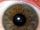 Pupil (eye)
