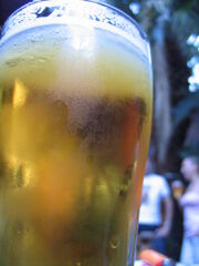 Glass of beer Australia Day 2005