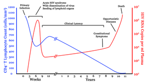Hiv-timecourse