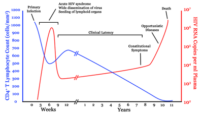 Hiv-timecourse