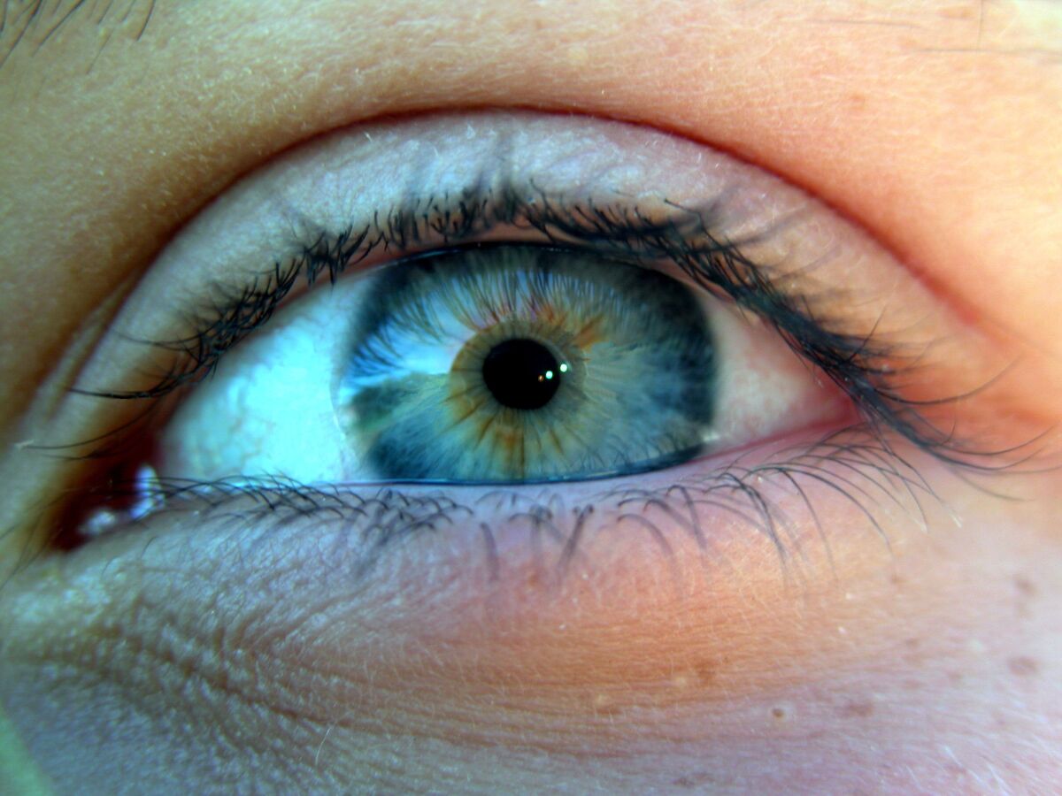 Extreme closeup of blue human eyeball showing the macula - Your Health