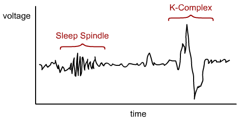 Stage2sleep.png