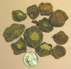 Peyote buttons seized by Arcata CA Police