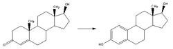 Reaction-Testosterone-Estradiol