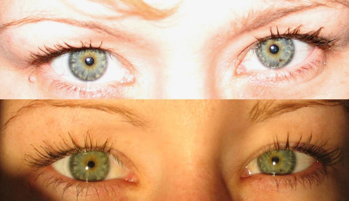 Amber Eye Color, Blog