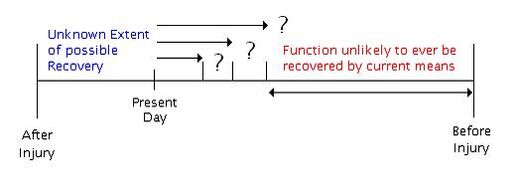 Brain repair figure vii