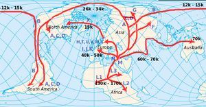 Human mtDNA migration