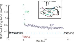 LTP exemplar