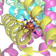 Succinate Dehygrogenase 1YQ3 Haem group